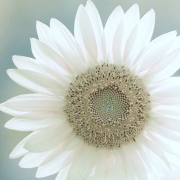 💚💙Cute Lululemon Teal Emerald Green Pencil Skirt So Comfy! - Picture 4 of 13